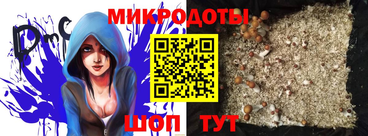 Псилоцибиновые грибы Psilocybe  где продают   Гусев  Вход с VPN 